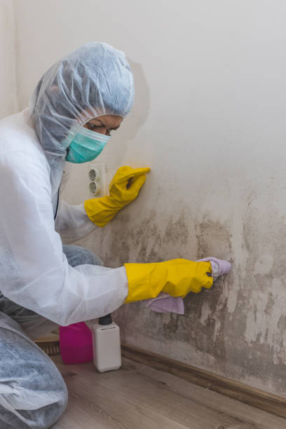 Best Indoor Air Quality Assessment  in Welcome, SC