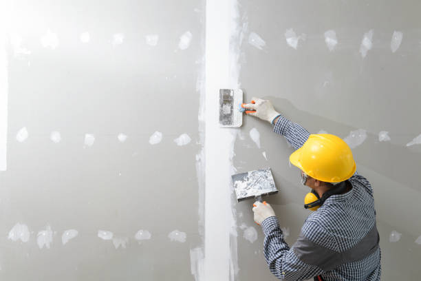 Best Asbestos and Lead Testing During Mold Inspection  in Welcome, SC