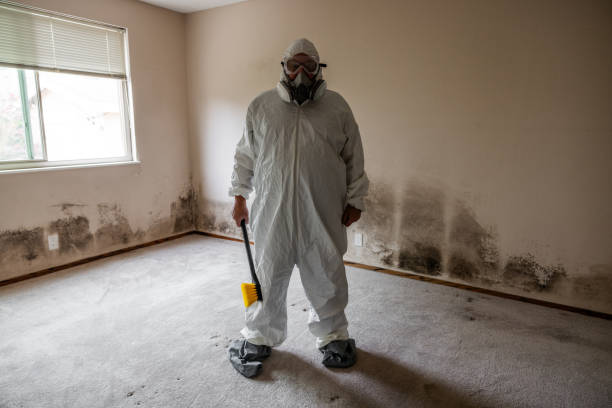 Best Biohazard Mold Removal  in Welcome, SC